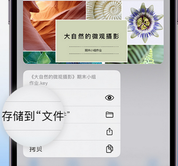 武陟apple维修中心分享iPhone文件应用中存储和找到下载文件