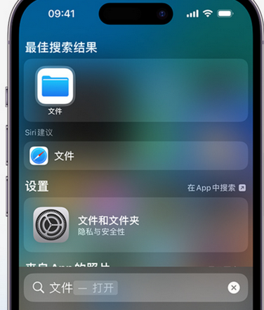 武陟apple维修中心分享iPhone文件应用中存储和找到下载文件