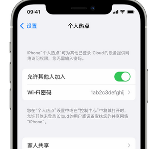 武陟apple服务站点分享iPhone上个人热点丢失了怎么办