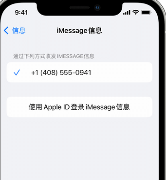 武陟apple维修iPhone上无法正常发送iMessage信息