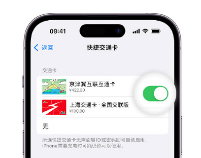 武陟apple维修点分享iPhone上更换Apple Pay快捷交通卡手绘卡面 