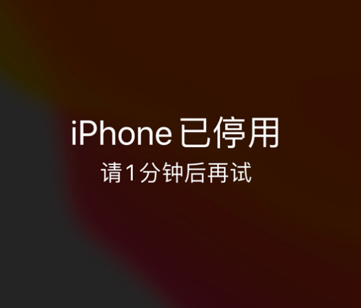 武陟苹果手机维修分享:iPhone 显示“不可用”或“已停用”怎么办？还能保留数据吗？ 