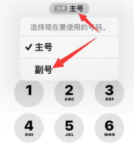 武陟苹果14维修店分享iPhone 14 Pro Max使用副卡打电话的方法 