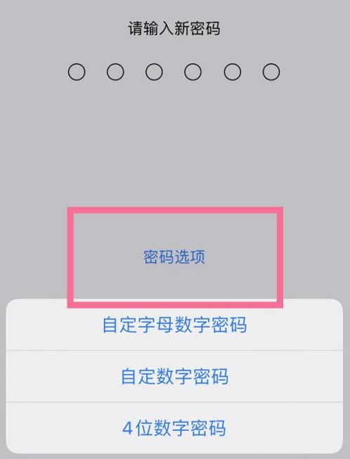 武陟苹果14维修分享iPhone 14plus设置密码的方法 