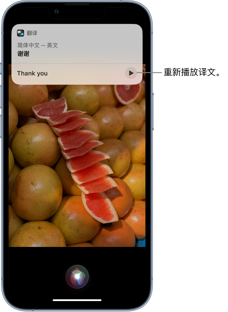 武陟苹果14维修分享 iPhone 14 机型中使用 Siri：了解 Siri 能帮你做什么 