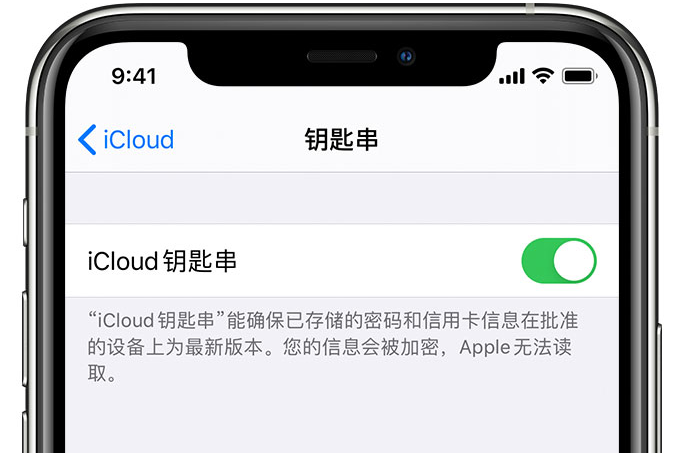 武陟苹果手机维修分享在 iPhone 上开启 iCloud 钥匙串之后会储存哪些信息 