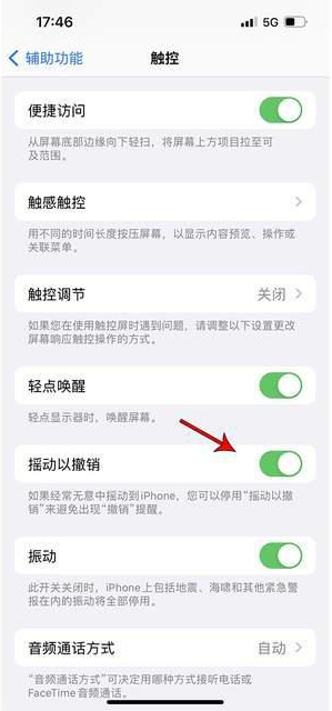 武陟苹果手机维修分享iPhone手机如何设置摇一摇删除文字 