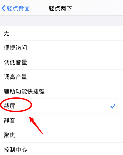 武陟苹果手机维修分享iPhone12如何启用双击截屏 